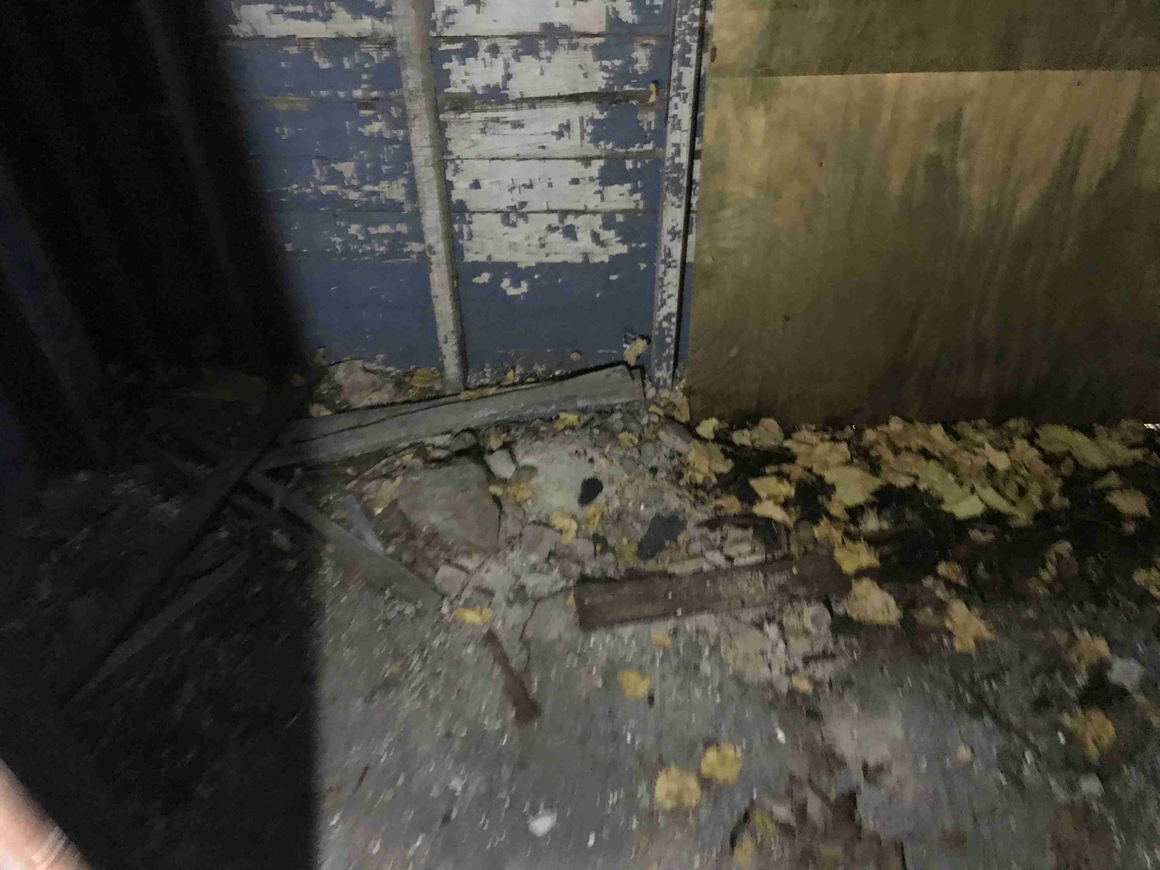 Photo Oct 13, 3 47 58 PM.jpg